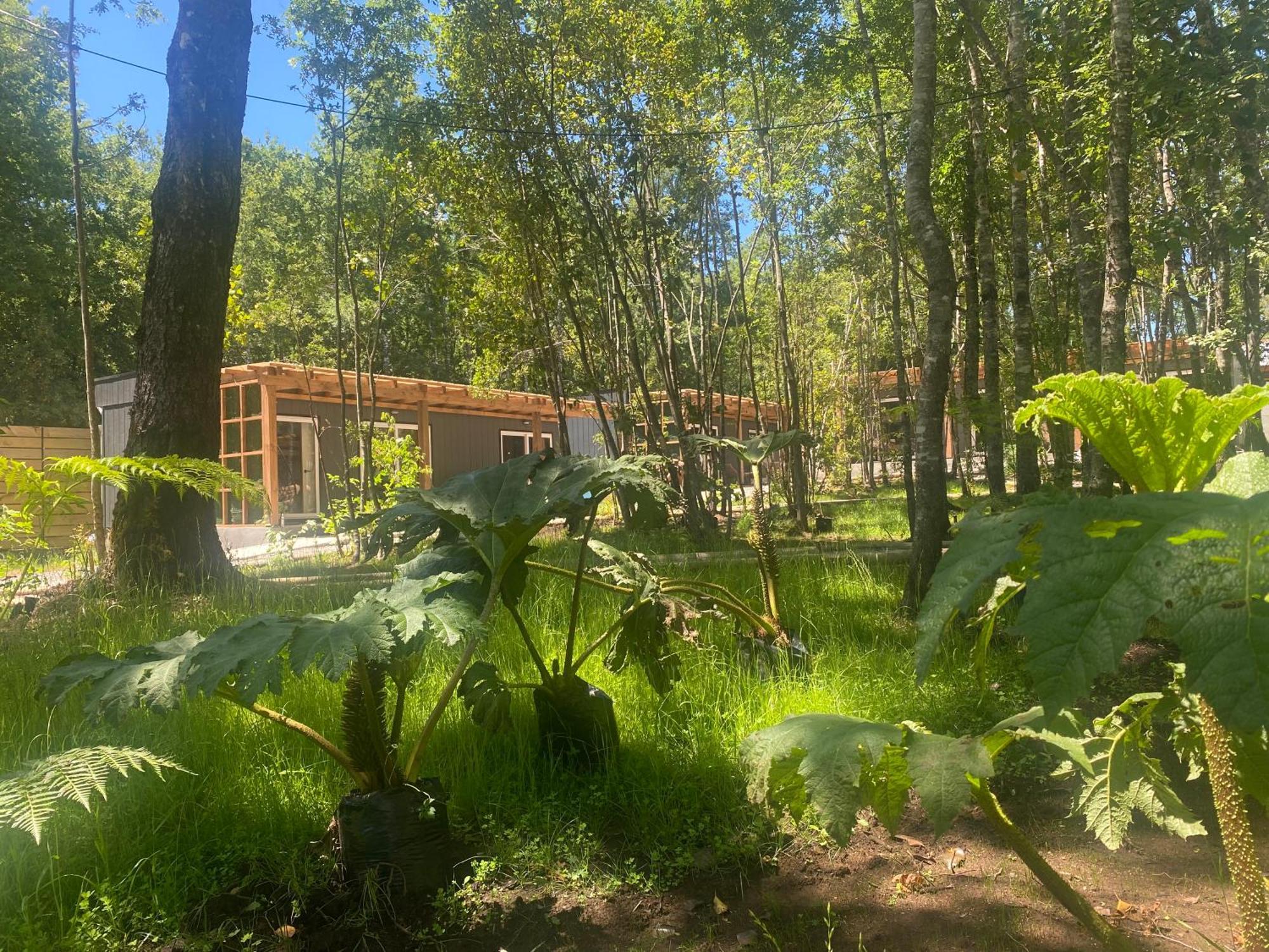 Hotel Boker Tov Pucón Exterior foto