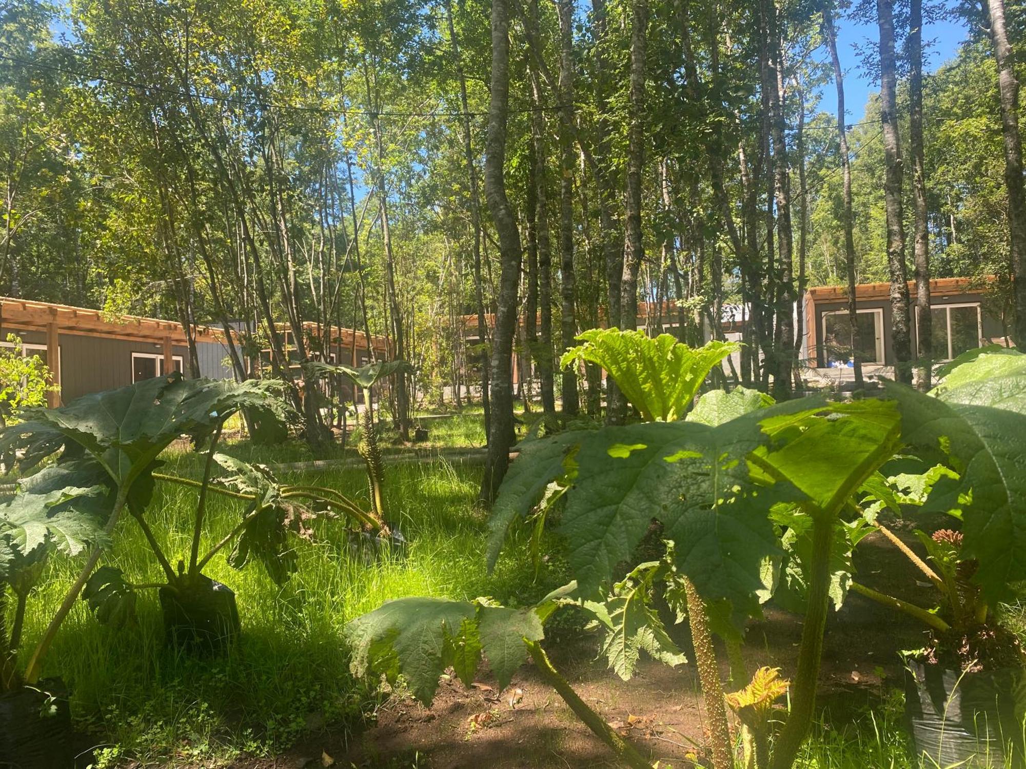 Hotel Boker Tov Pucón Exterior foto
